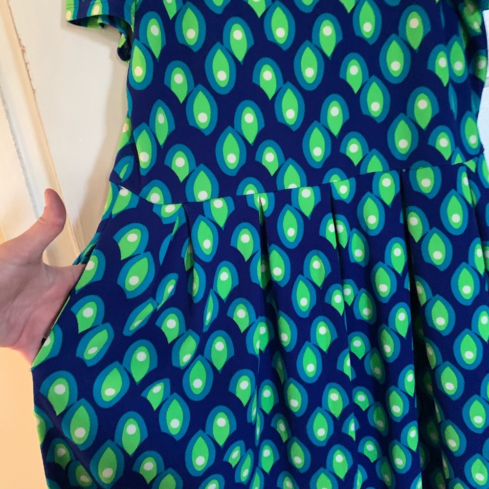 Fun print Lularoe dress